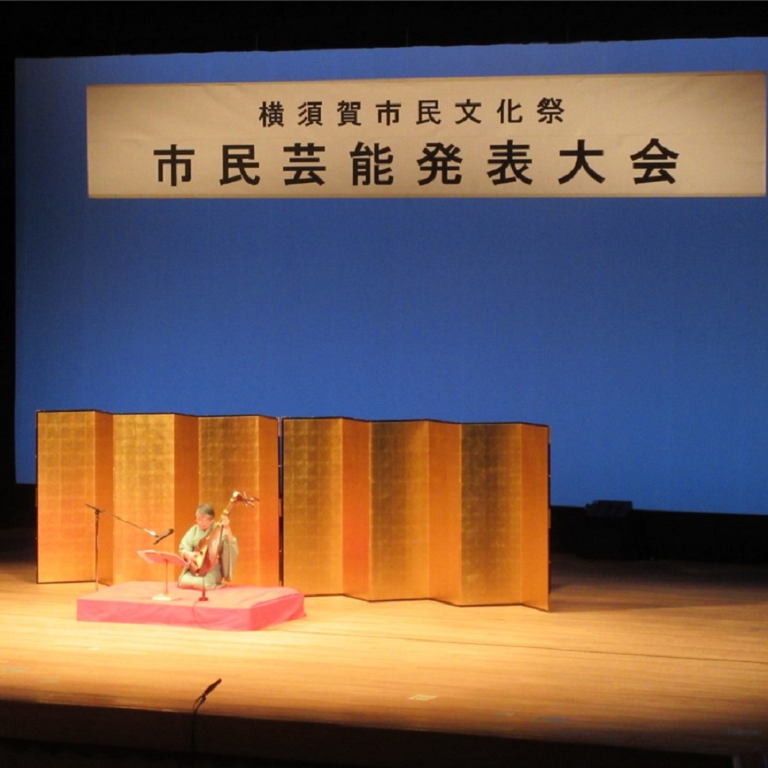 琵琶