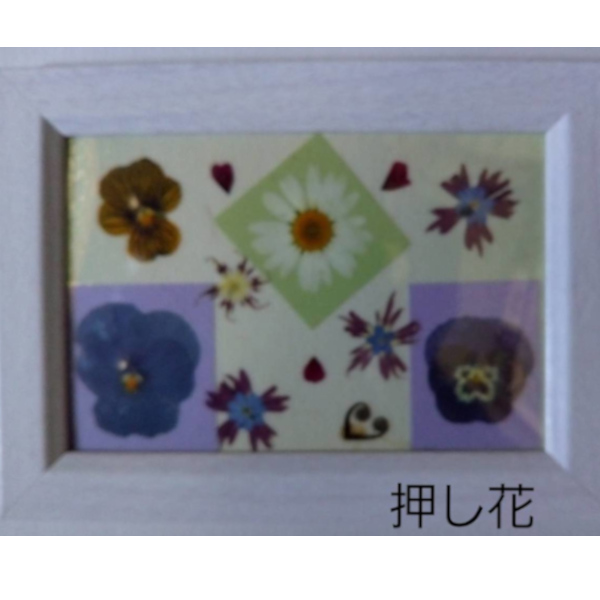 押し花